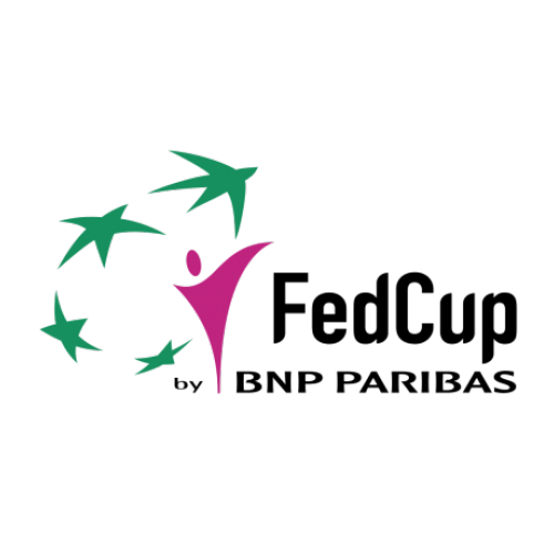 Fed Cup Czech Republic - Germany, Brno, 2010